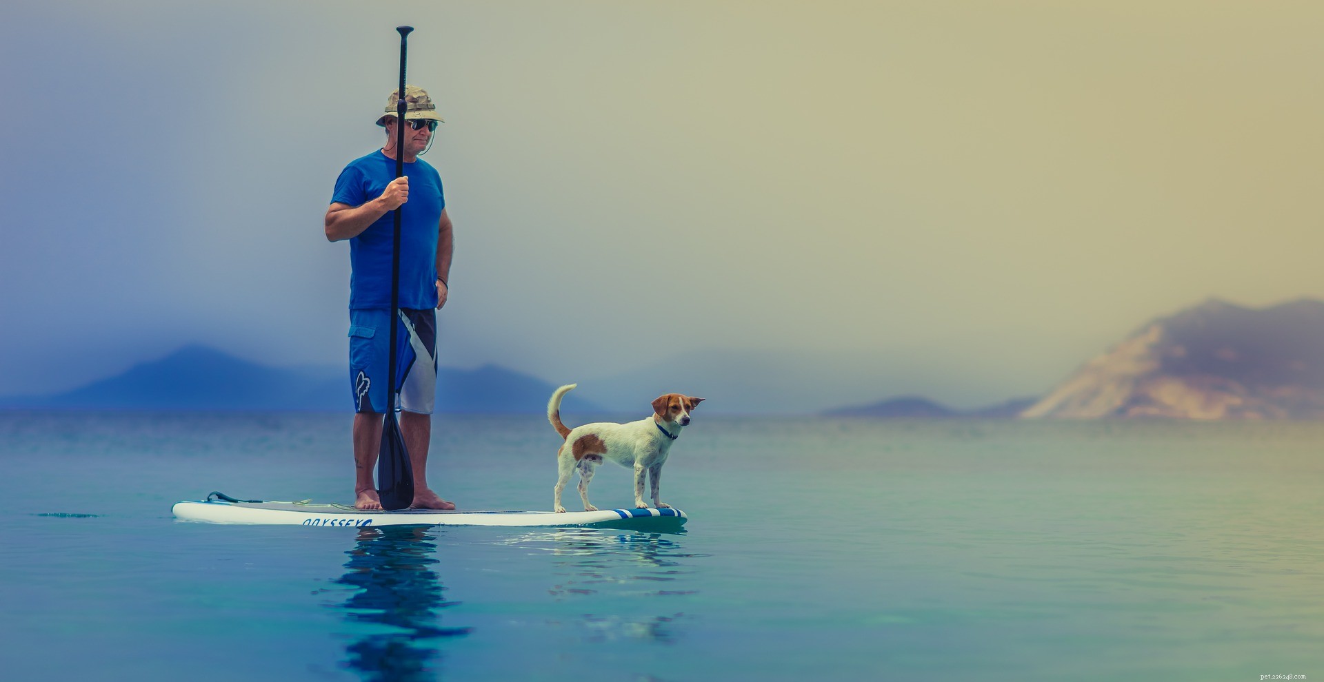 10 New Year Resolutions Inspired by Your Pets