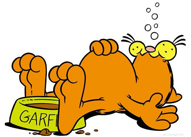 5 Proven Ways to Properly Care for Your Cat