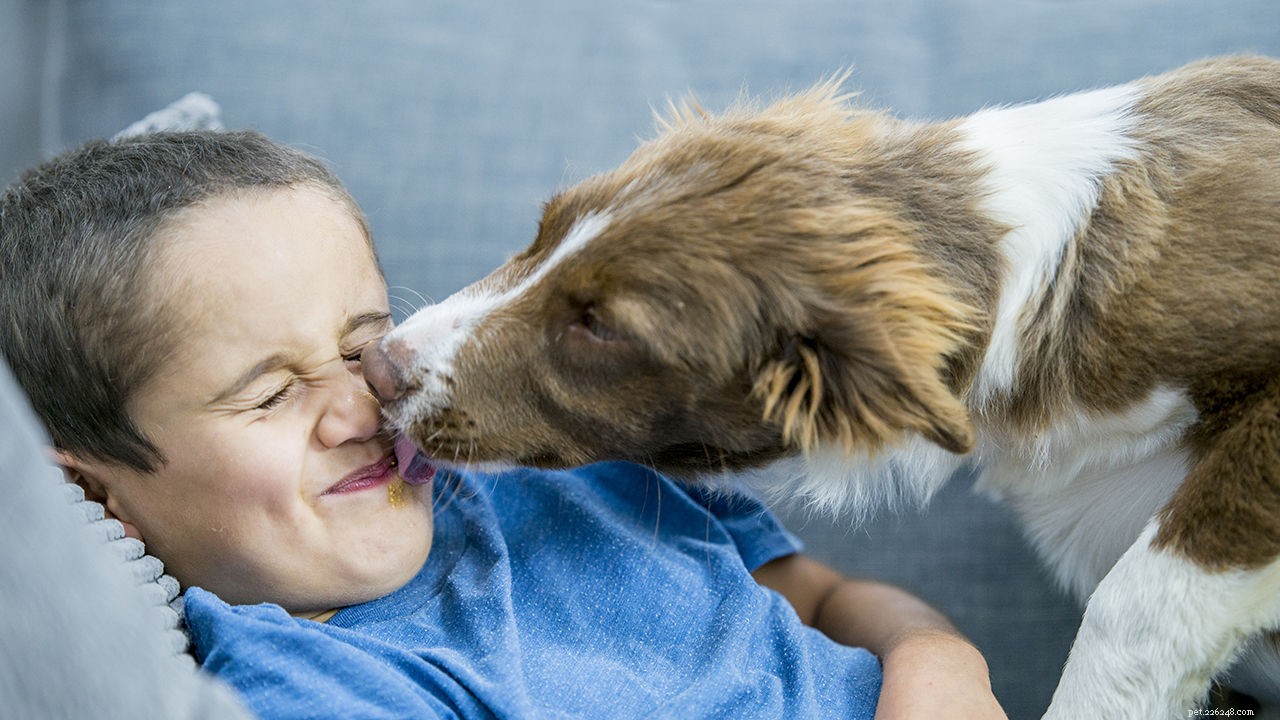 Beat Quarantine Stress Together: Proven Strategies for You and Your Pet