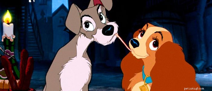 Top 8 Holiday Films to Enjoy With Your Pet