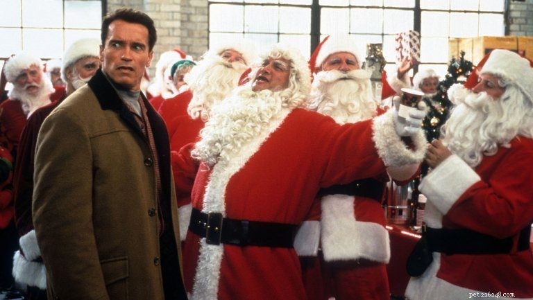 Top 8 Holiday Films to Enjoy With Your Pet