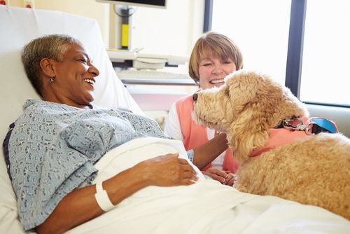Canine Therapy: How Dogs Improve Mental and Physical Health