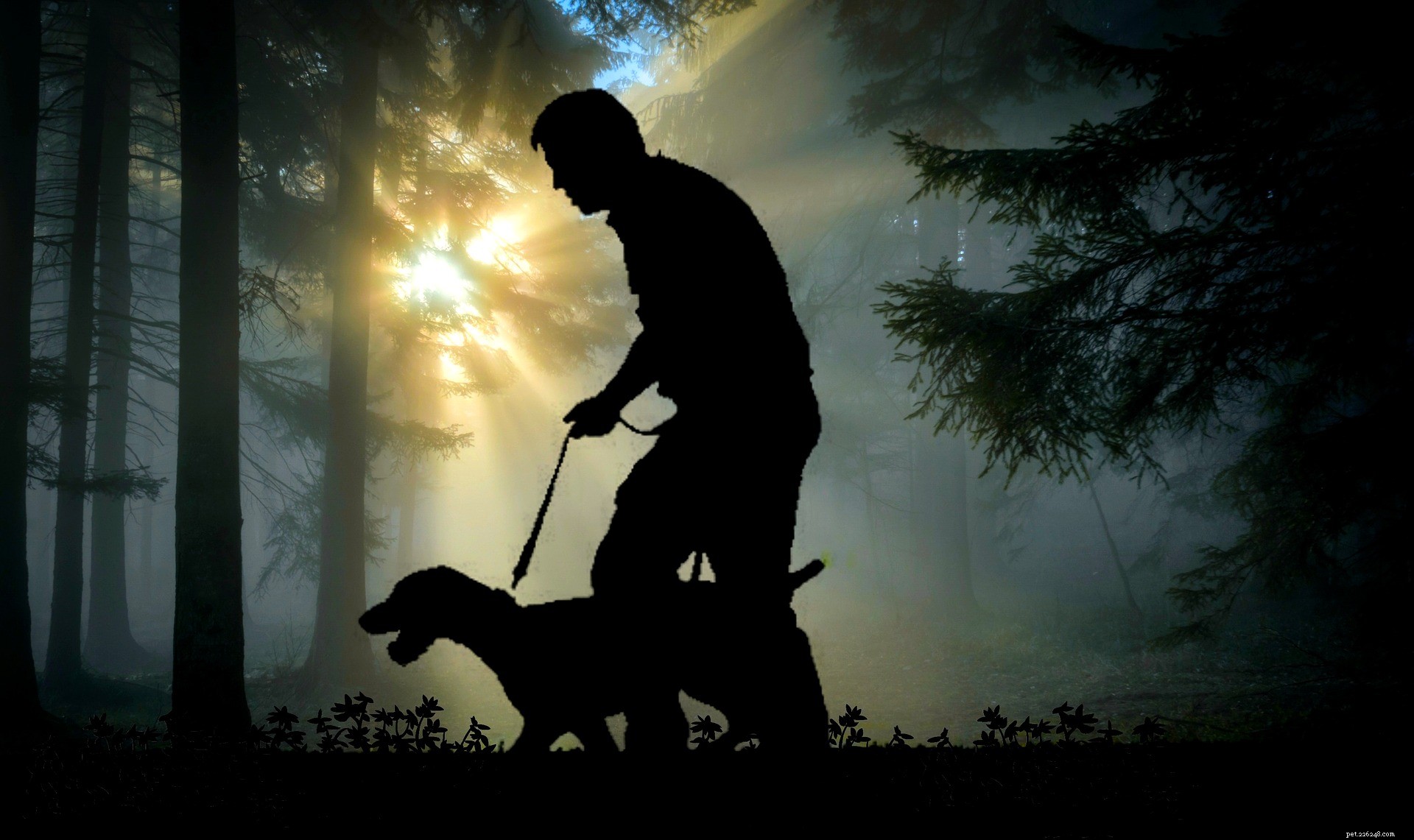 National Seeing Eye Dog Day: Honoring Guide Dogs that Empower the Blind