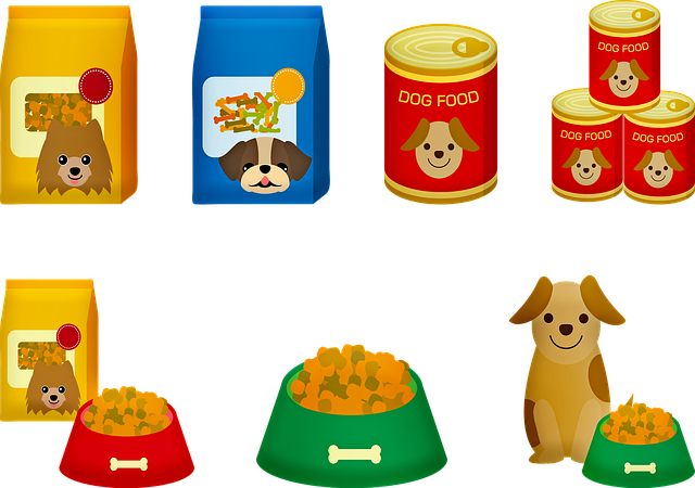 Treating Sensitive Stomach Issues in Dogs: A Practical Guide