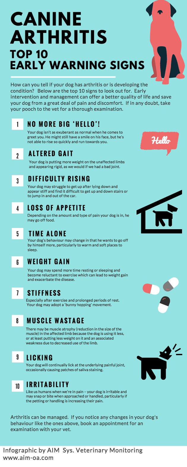 Understanding Dog Arthritis: Causes, Symptoms, and Care