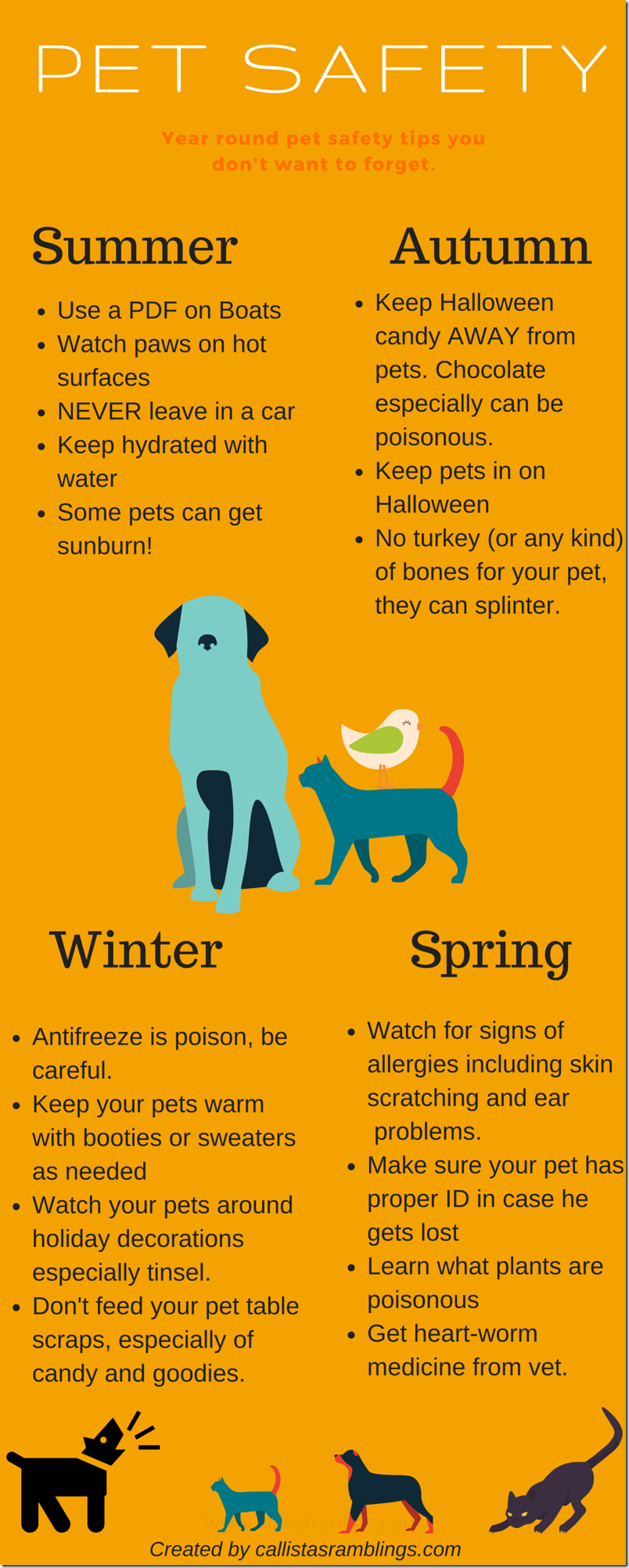 Comprehensive Guide to Caring for Your Dog: Tips, Health, and Responsibility
