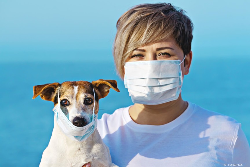 Do Dogs Contract COVID‑19? What the Latest Research Says