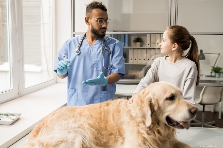 How Much Does Pet Insurance Cost? A Complete Guide to Planning Your Pet s Health Coverage