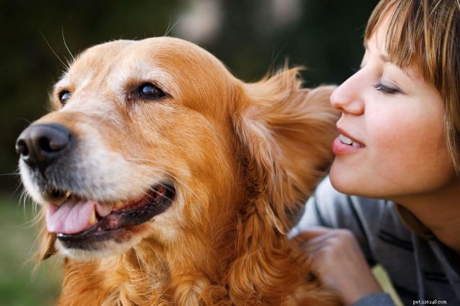 How Baby Talk Captivates Dogs: Insights from New Research