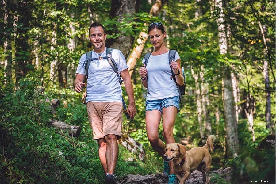 Top Pet-Friendly Trails in Gwinnett County