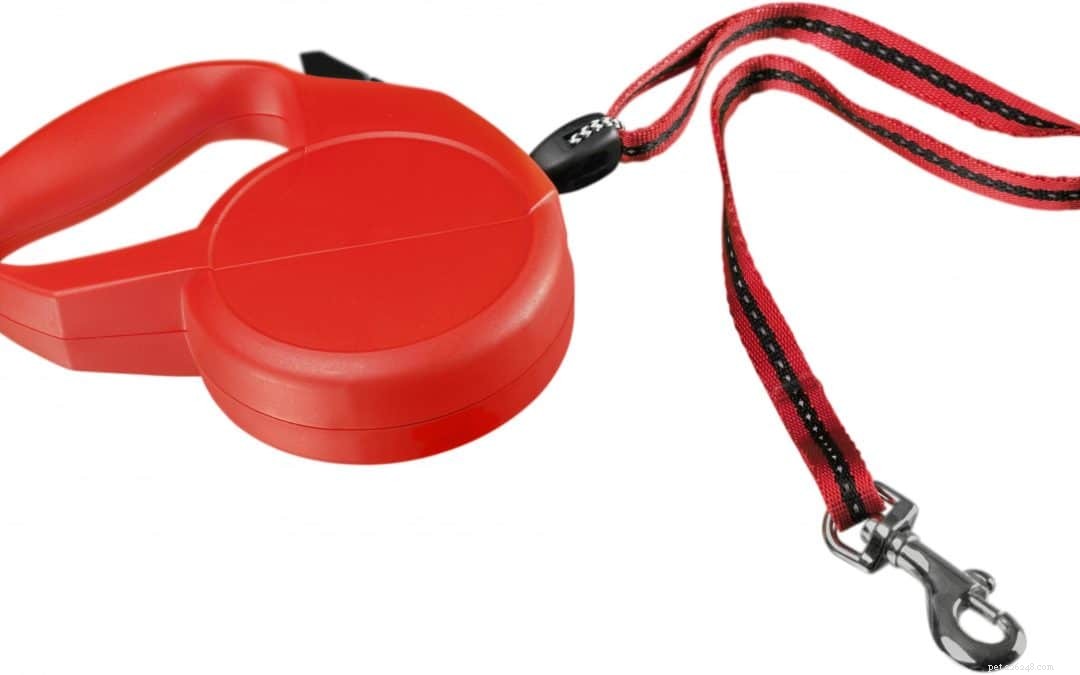 Expert Duluth Trainer Weighs In on the Risks of Retractable Leashes