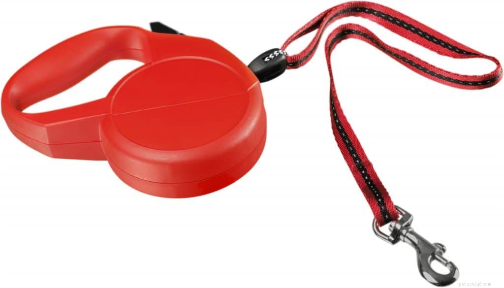 Expert Duluth Trainer Weighs In on the Risks of Retractable Leashes