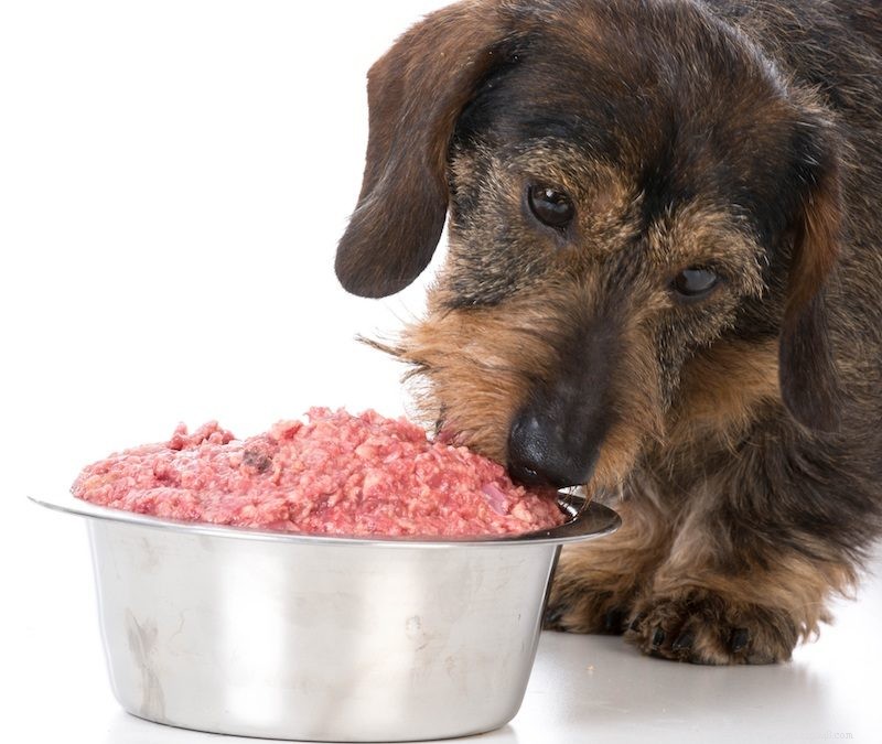 Raw Dog Food 101: A Beginner’s Guide to Feeding Your Dog Naturally