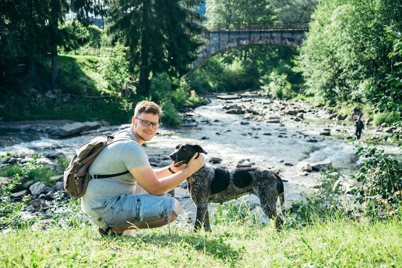 Mastering Pet Parenting: Essential Tips for a Healthy, Happy Companion