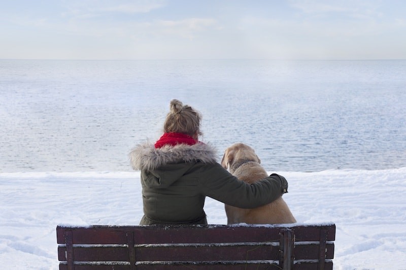 Compassionate Guidance for Pet Owners Facing Loss