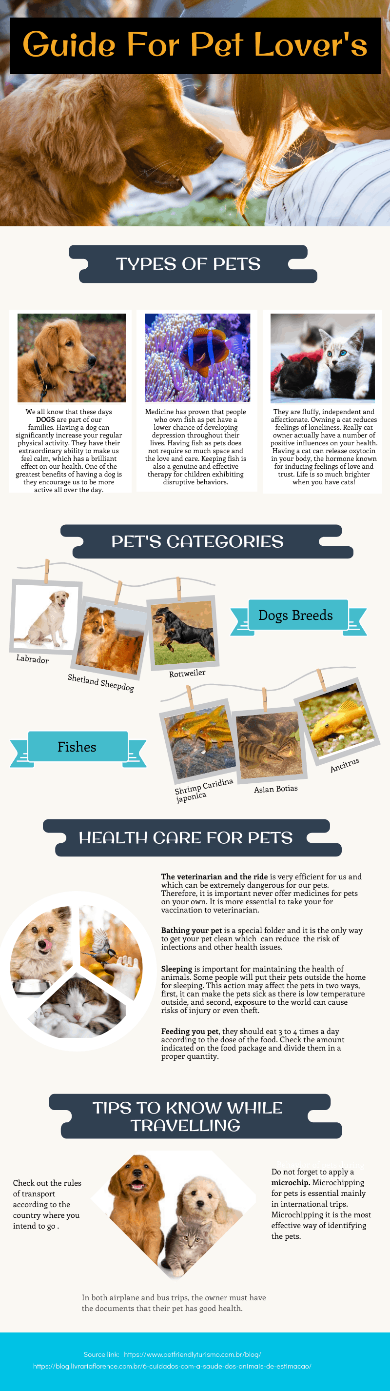 Essential Dog Training Commands: A Proven Guide for Effective Results