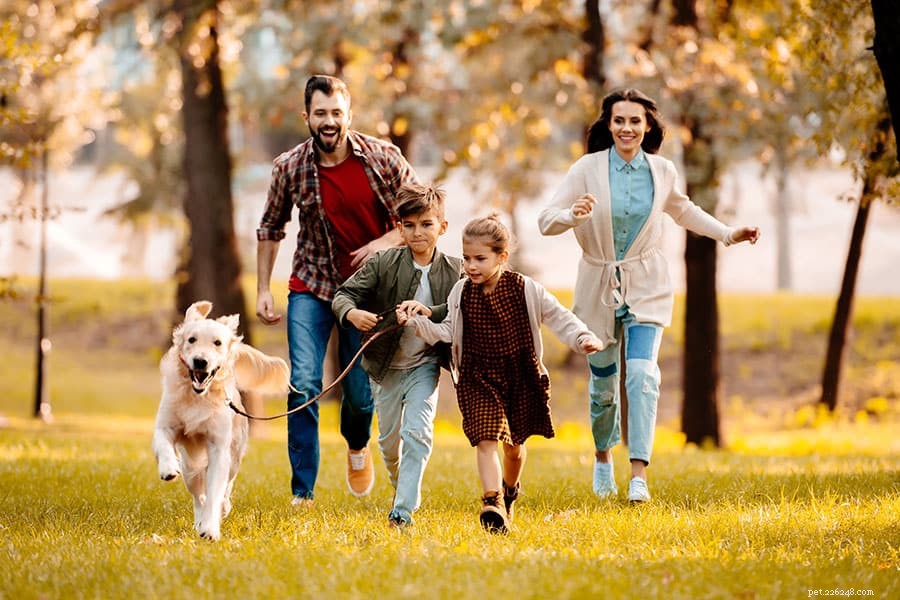 Show Your Pet Gratitude This Thanksgiving: Healthy, Loving Ways to Celebrate