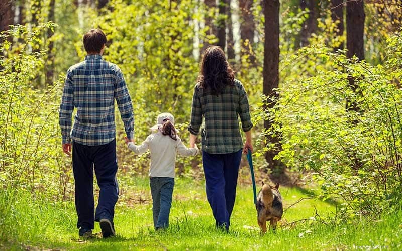 How to Safely Remove Ticks from Your Pet: Step-by-Step Guide