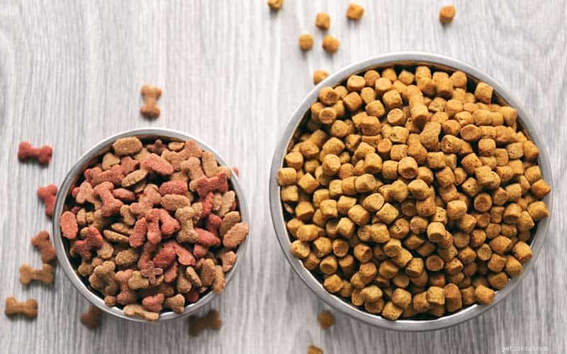 Understanding Holistic Dog Food: What It Means and Why It Matters