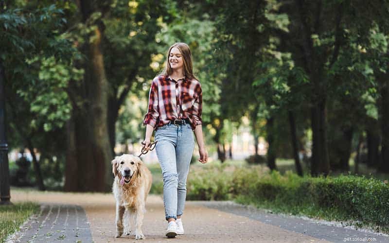 What Does a Pet Sitter Do? – Duties, Training, and Care Explained