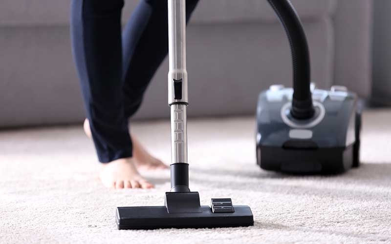 Understanding Why Your Dog Fears the Vacuum Cleaner: Causes & Solutions
