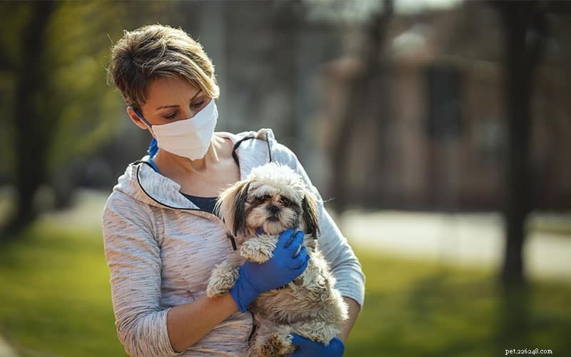 Ensuring Your Pet’s Comfort When You’re Hospitalized with COVID-19