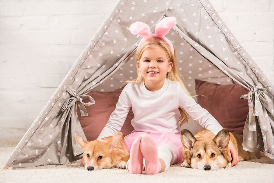 Managing Home Alone: Overcoming Pet Separation Anxiety