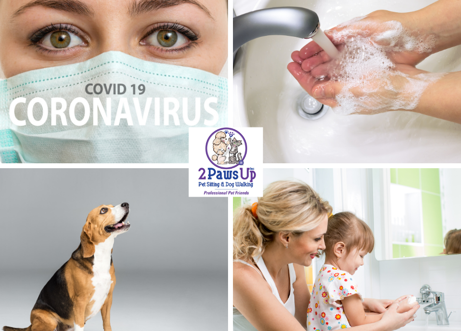 COVID-19 Safety Update for 2 Paws Up Families