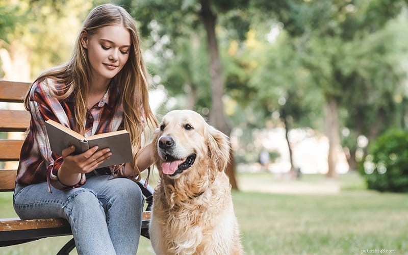 Healthy Together: A Proven Guide to Joint Weight Loss for You and Your Dog