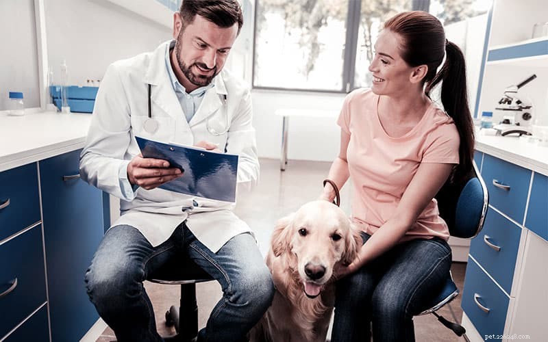Emotional Support Animals: Rights, Requirements, and How to Register