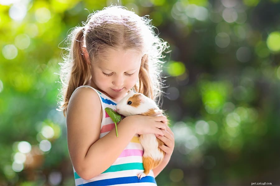 Best Pets for Preschoolers & Elementary Kids: Safe, Simple, and Educational