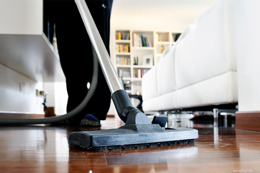 Keep Your Home Fresh: Essential Cleaning Tips for Pet Owners