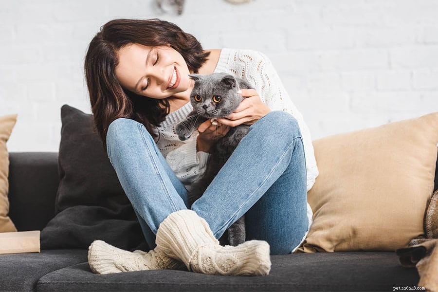 The Role of a Cat Sitter: Expert Care & Peace of Mind for Your Feline Friend