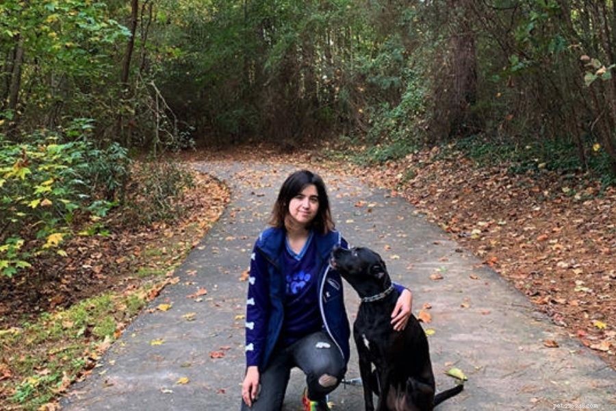 Is Hiring a Professional Dog Trainer Worth It? Discover the Benefits