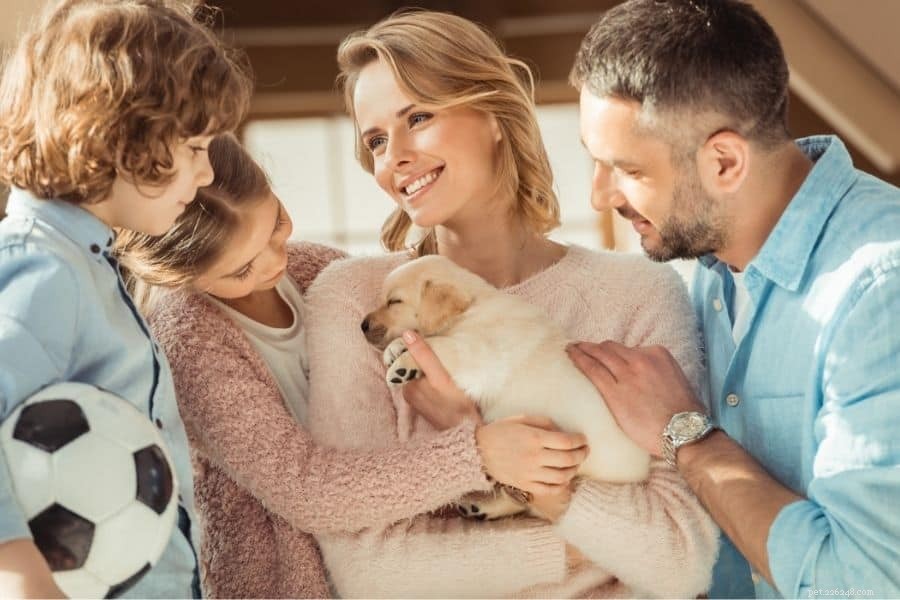 Understanding the True Costs of Dog Ownership