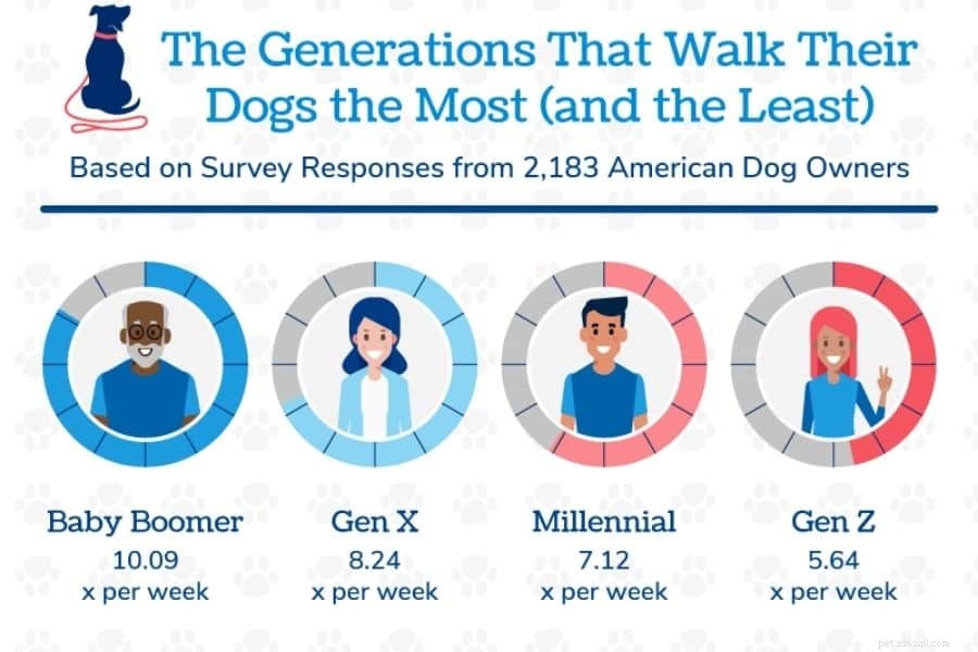 State‑by‑State Guide to Dog Walking Habits and Health