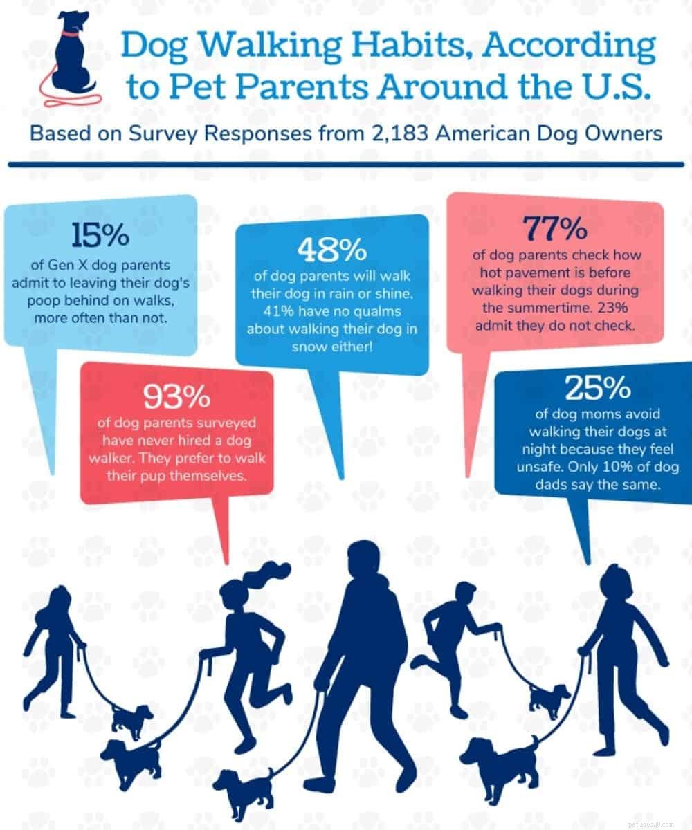 State‑by‑State Guide to Dog Walking Habits and Health