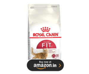 10 Best Cat Food Brands: The Ultimate Buyer’s Guide