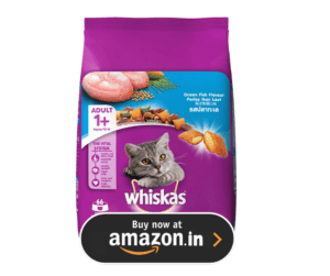 10 Best Cat Food Brands: The Ultimate Buyer’s Guide