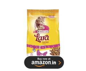 10 Best Cat Food Brands: The Ultimate Buyer’s Guide