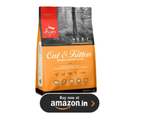 10 Best Cat Food Brands: The Ultimate Buyer’s Guide