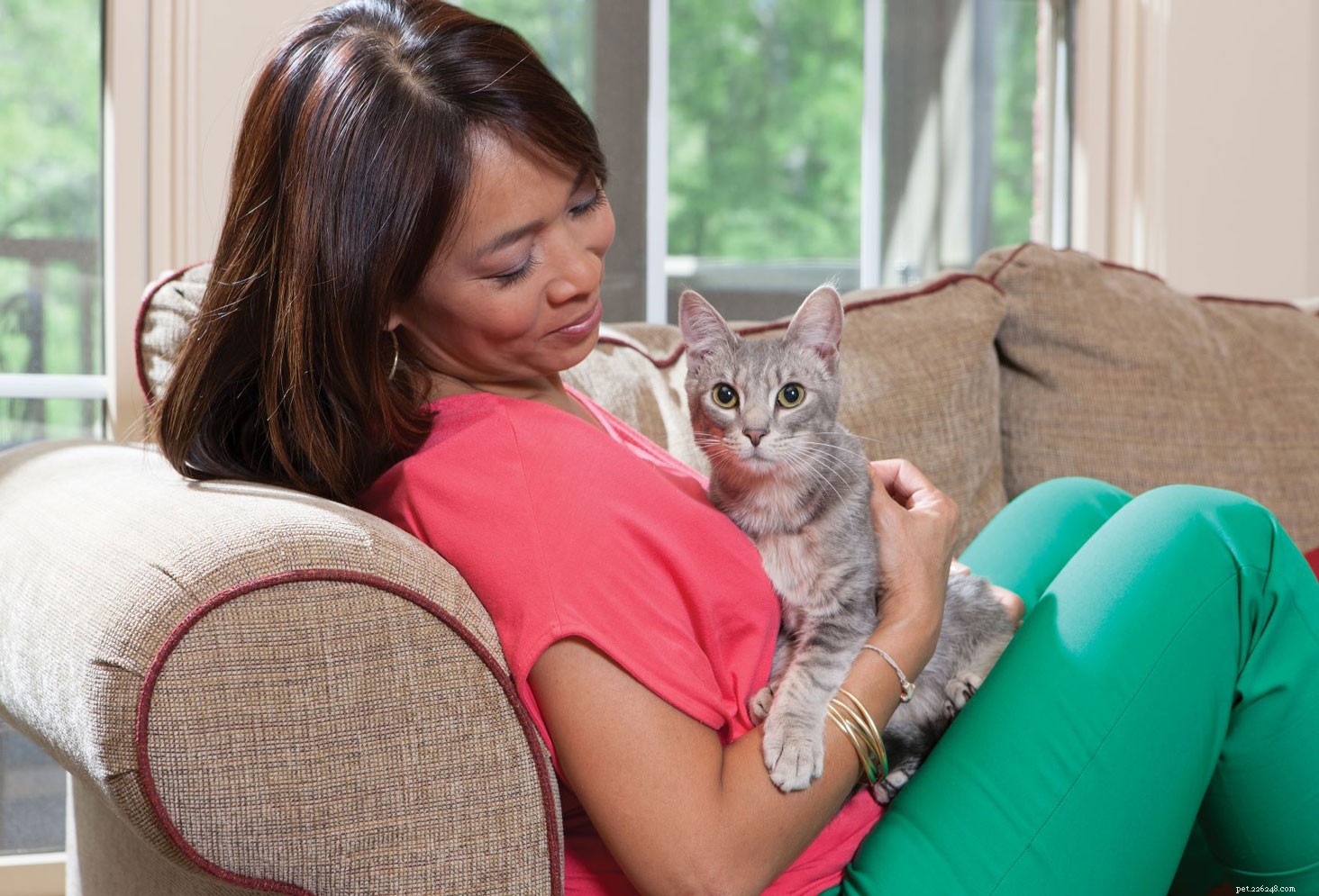 5 Proven Ways to Show Your Cat You Love Them This Valentine’s Day