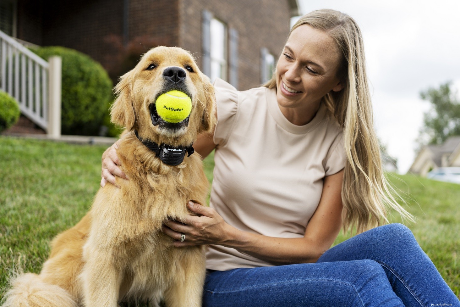 Prevent Your Dog from Escaping: Expert Tips to Secure Your Yard