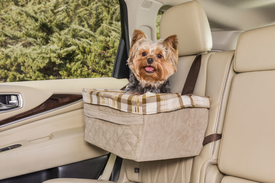 Essential Car Travel Tips for Dogs & Cats: Keep Your Pets Safe and Comfortable