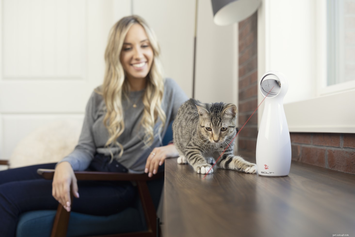 25 Must‑Have Gifts for Cats & Their Lovers