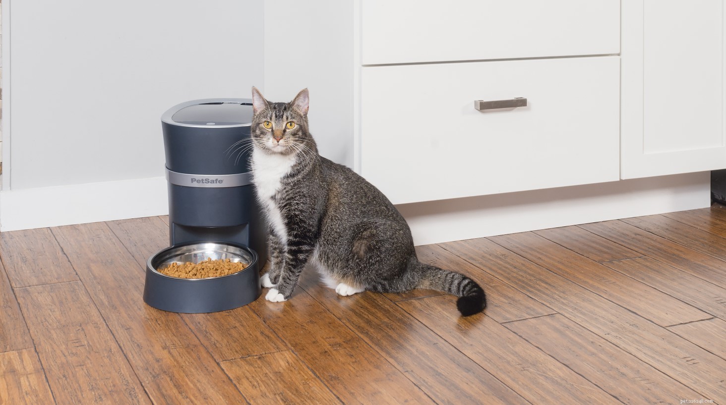 25 Must‑Have Gifts for Cats & Their Lovers