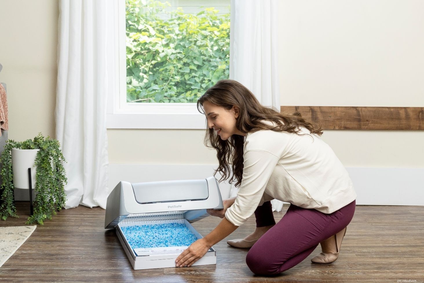 7 Proven Ways to Eliminate Litter Box Odors & Keep Your Home Fresh