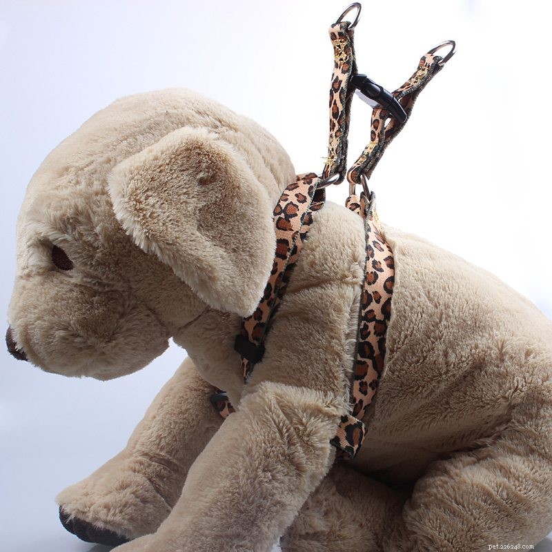 Expert Guide: Using Your Dog Harness Correctly – Video Tutorial by QQPets
