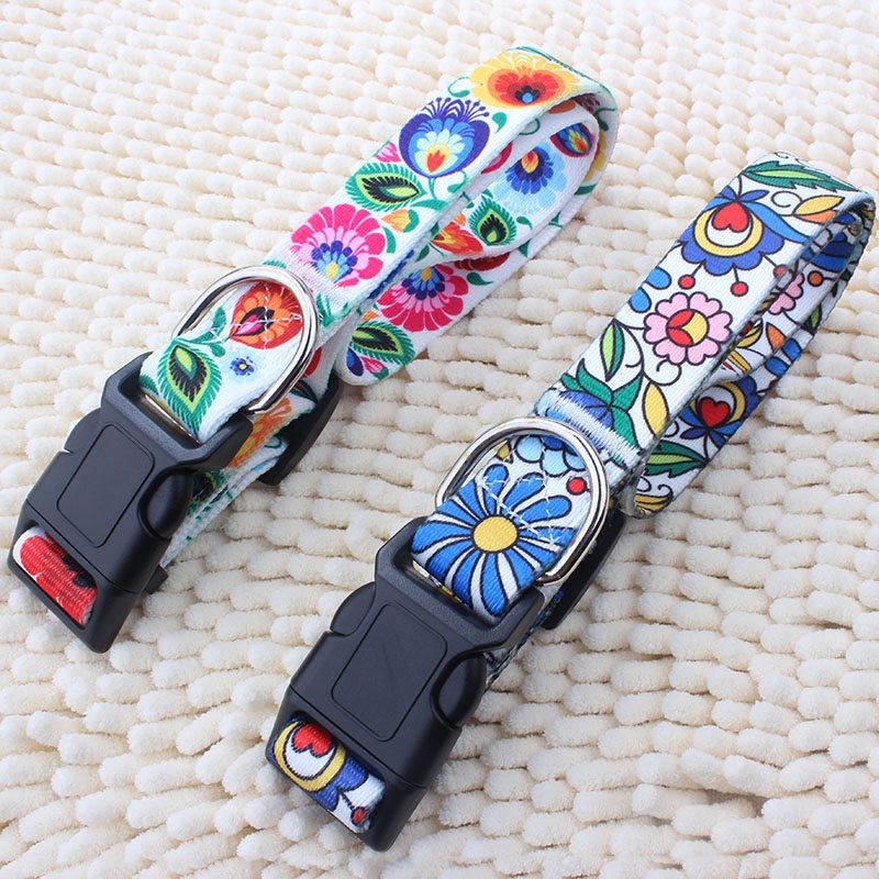 Premium Dog Collar Supplier – Discover Durable Polyester Construction