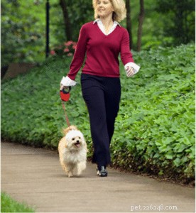 Premium Retractable Dog Leash Factory – High‑Quality Nylon Leashes from QQpets